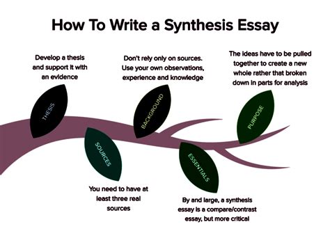 What's a Synthesis Essay: Exploring the Depth and Diversity of Synthesis Writing